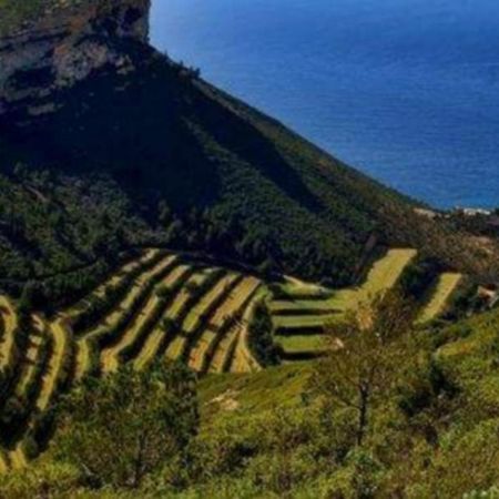Lou Corail Cassis Dış mekan fotoğraf