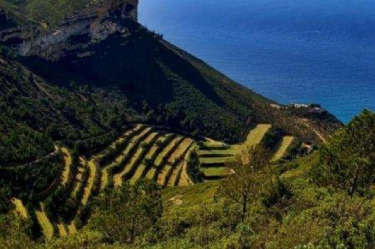 Lou Corail Cassis Dış mekan fotoğraf